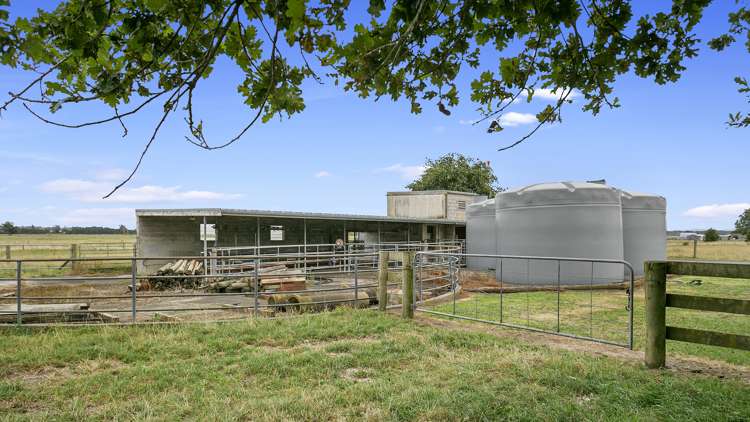 5632 State Highway 27 Ngarua_14