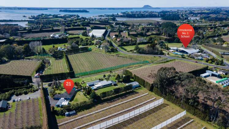 21 Anderson Lane Whakamarama_19