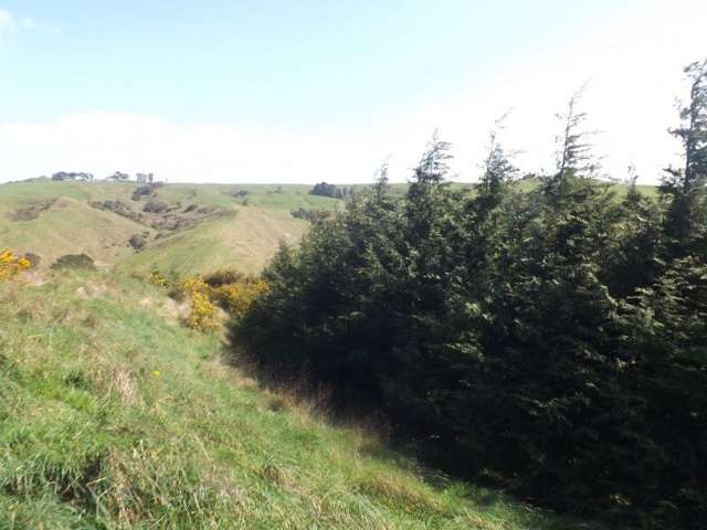 951h Waingaro Road Glen Massey_4