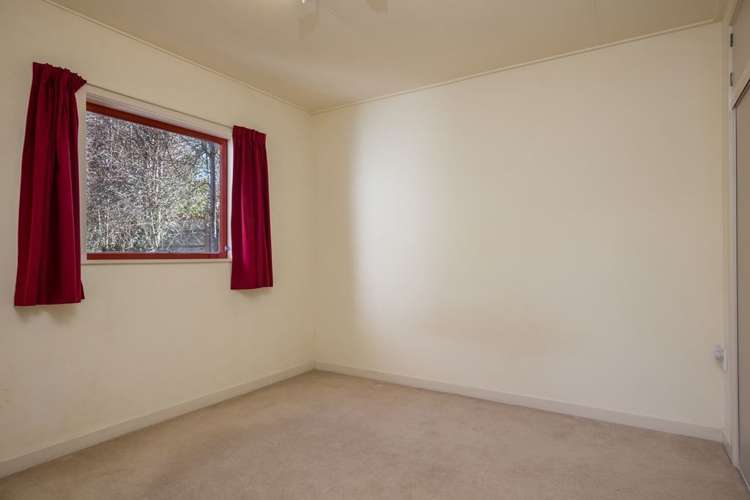 31b Milton Terrace Picton_15