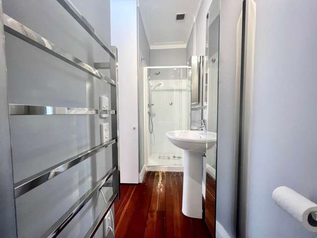 59 Albany Road Ponsonby_3