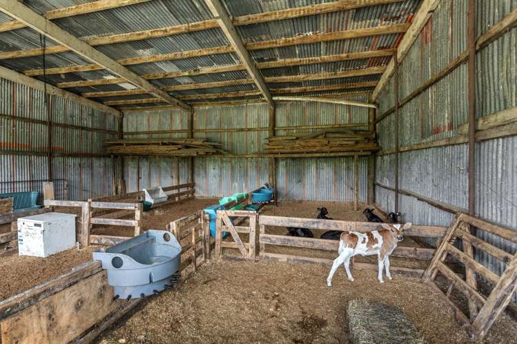89 Mottram Road Nukuhou_18