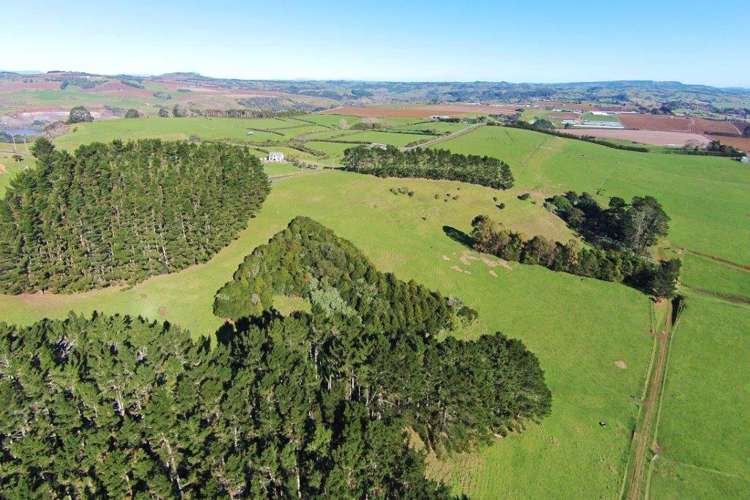 283 Trig Road Tuakau_12