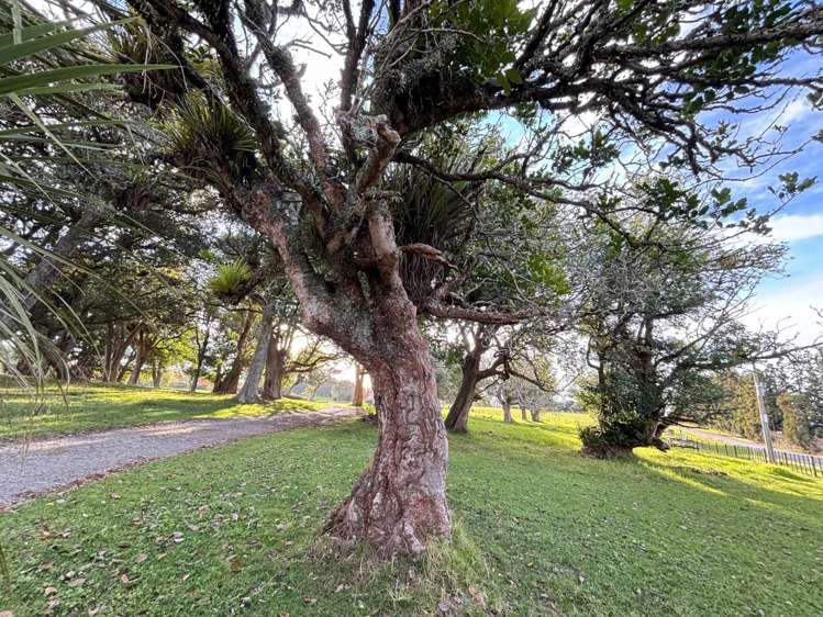 377 Waikaramu Road Waimate North_24