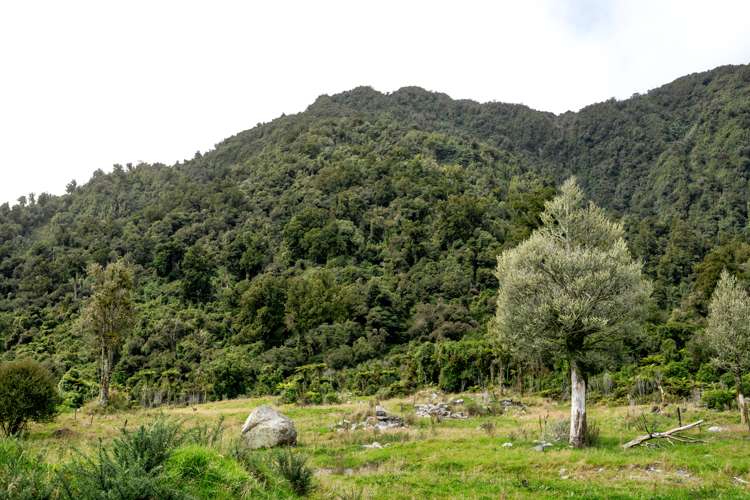 2237 Lake Brunner Road (lots 1,3,6,) Inchbonnie_9