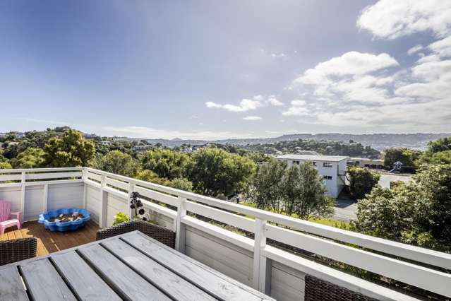 26 Spottiswoode Street Andersons Bay_3