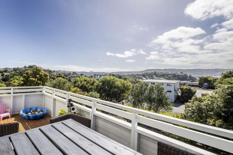 26 Spottiswoode Street Andersons Bay_3