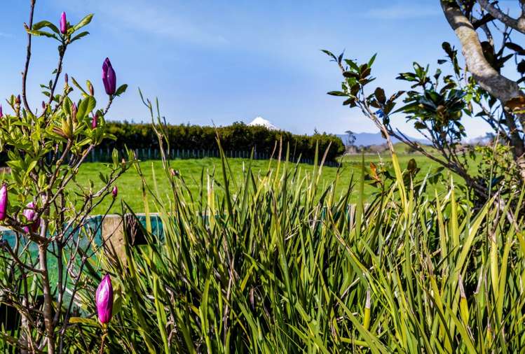 274 Richmond Road Lepperton_23