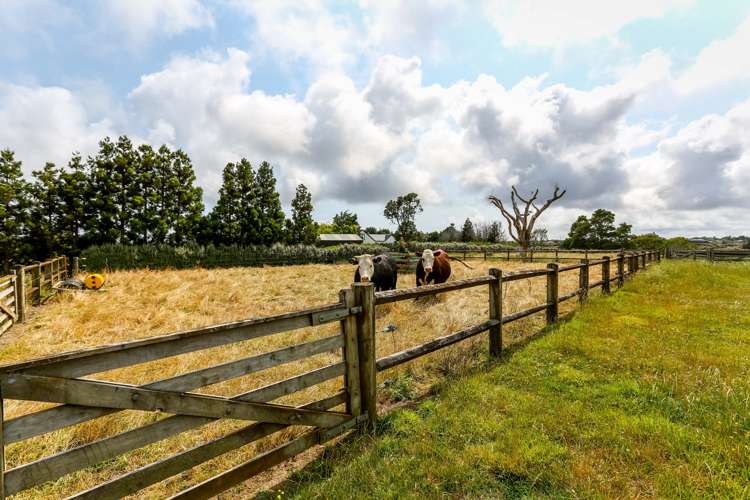 38 Mcgiven Drive Ridgewood_17