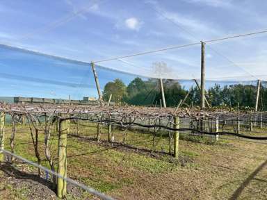 341 Glenbrook Waiuku Road_2