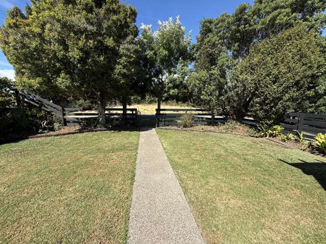 98 Tender Road Dairy Flat_1