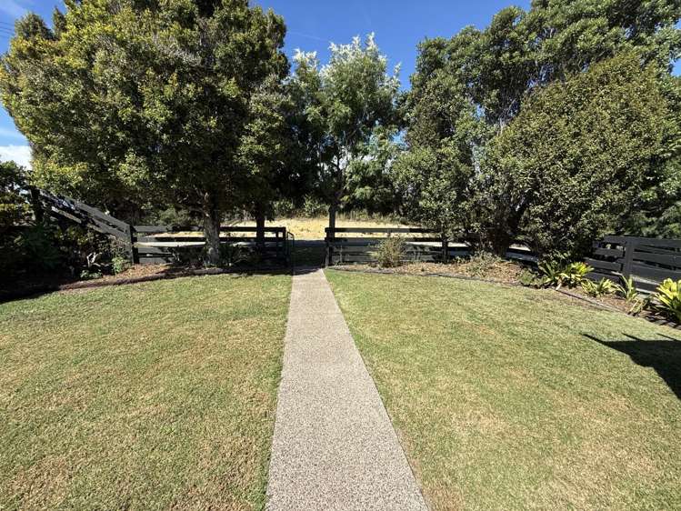 98 Tender Road Dairy Flat_1