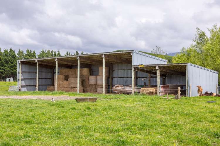 125 Larsen Road Eketahuna_18