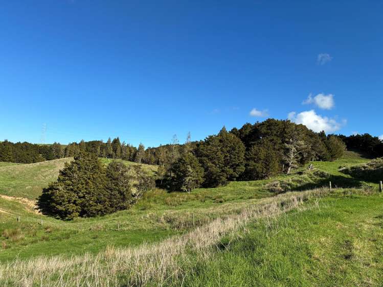 Paparoa Road Mangapai_9