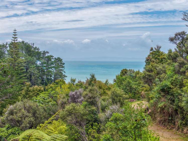 47 Otuturu Crescent_1