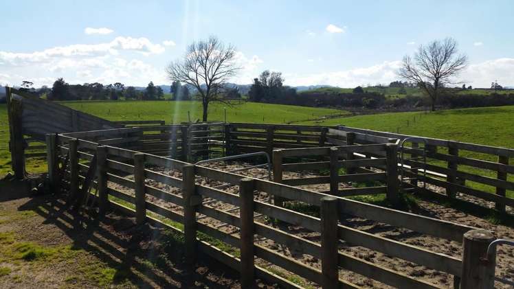 1966 Gordonton Road Taupiri_3