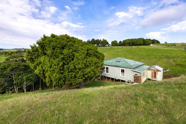 62 Cornes Road Raglan_12