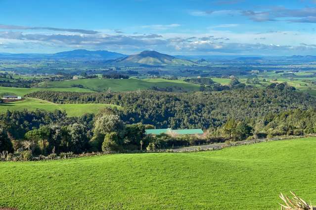 373 Pekanui Road Pirongia_4