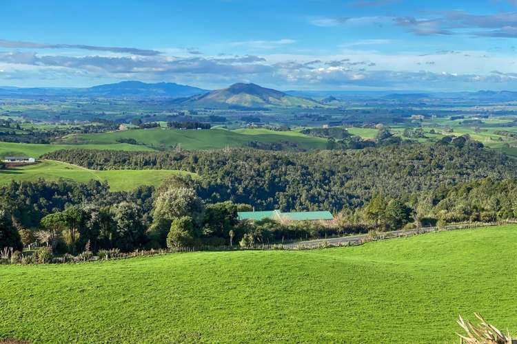 373 Pekanui Road Pirongia_4