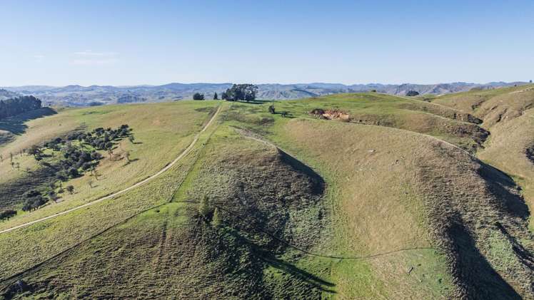 262B Masterton Stronvar Road Te Ore Ore_16