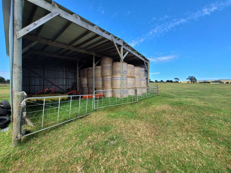 1008 Te Maire Road Te Kopuru_16