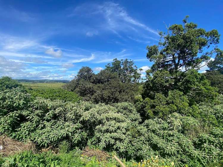 1 Webb Street Pukekohe_16