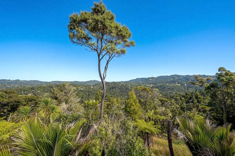 220 Forest Hill Road Waiatarua_13