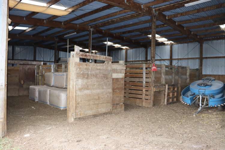 4869 Ohura Road Pohokura_18