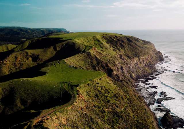 223 Constable Road Muriwai_1