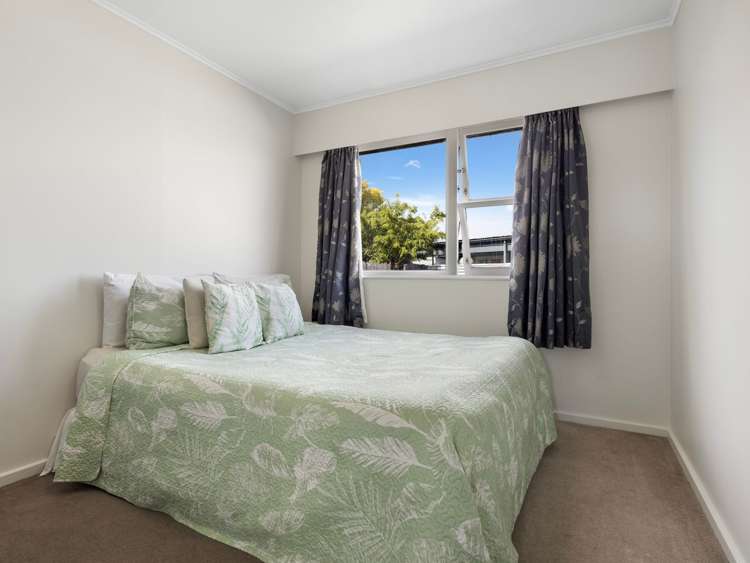 56 Alexander Avenue Onekawa_15