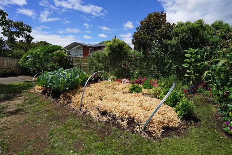 47 Queenwood Avenue Queenwood_16
