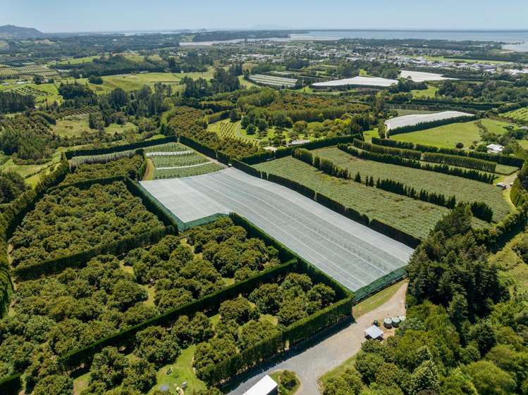 140C Wharawhara Road Tahawai_12