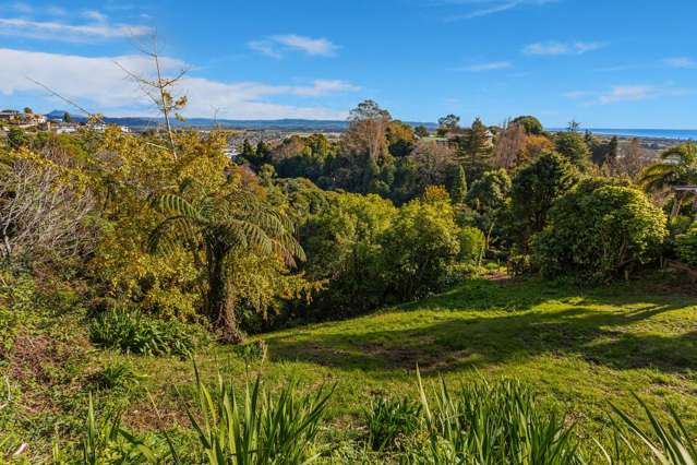 10A Hurinui Avenue Whakatane_2