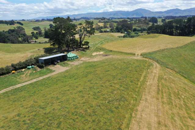 83 Norsewood Ormondville Road Norsewood_4