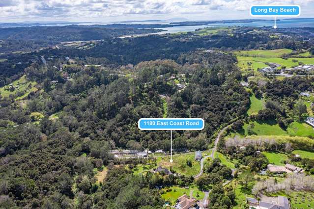 1180 East Coast Road Redvale_4