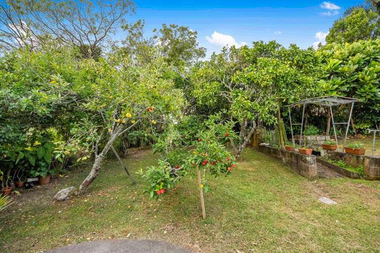 33 Routley Drive Glen Eden_9