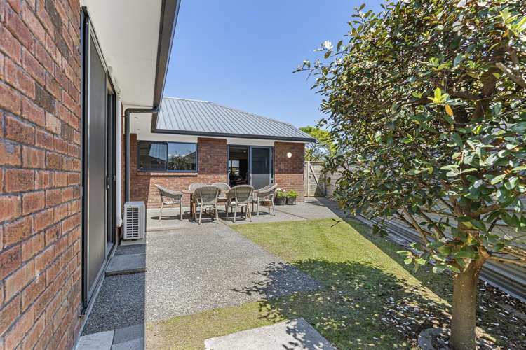 271a Carrington Street Vogeltown_22