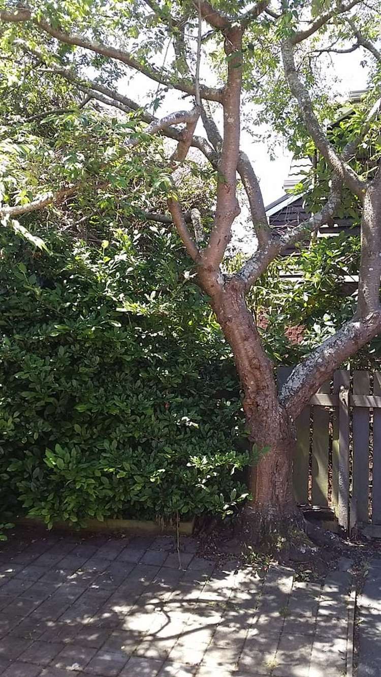 191A Cargill Street Dunedin Central_5