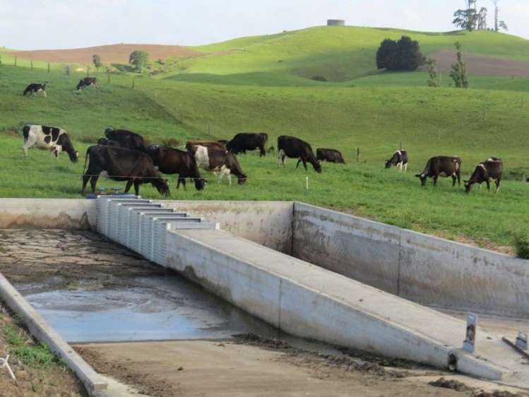 114 Pukekapia Road Ruawaro_15