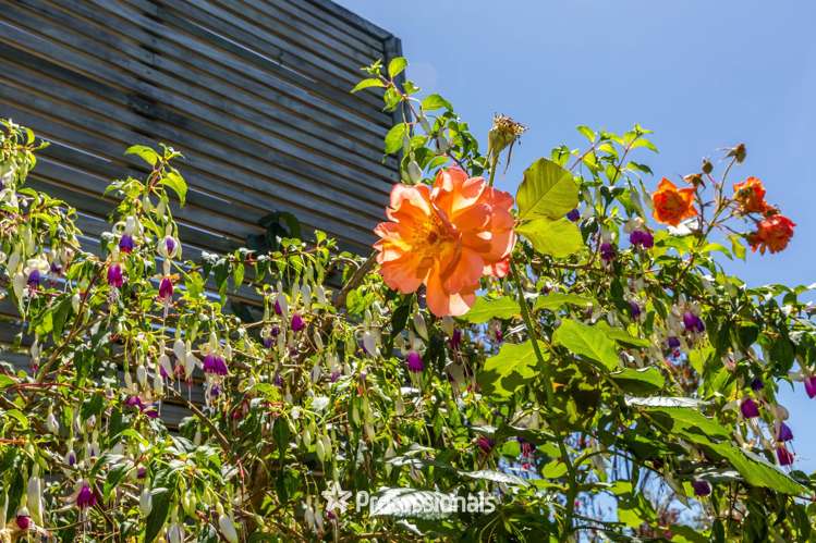 14 Prouse Grove Silverstream_21