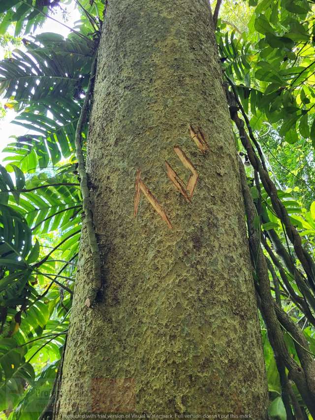 Address withheld Savusavu_4