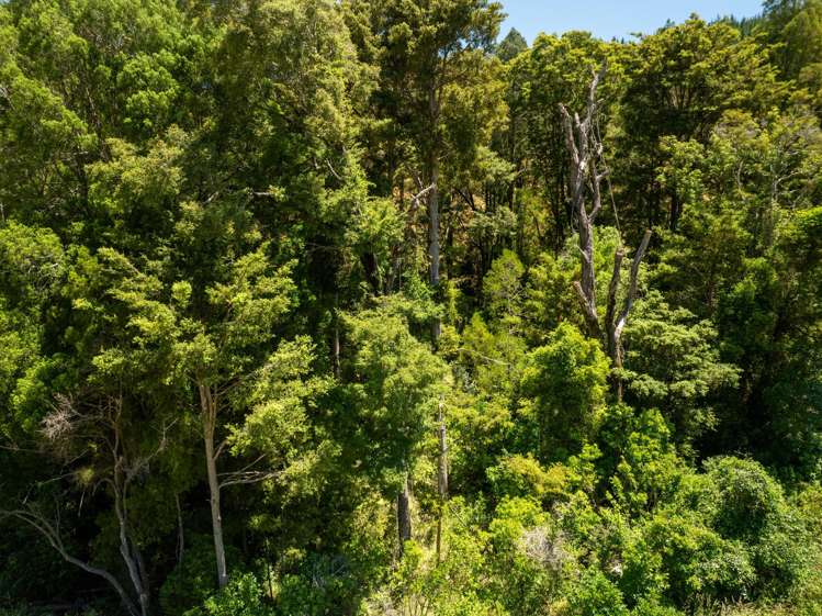 240 Teapot Valley Road Brightwater_37