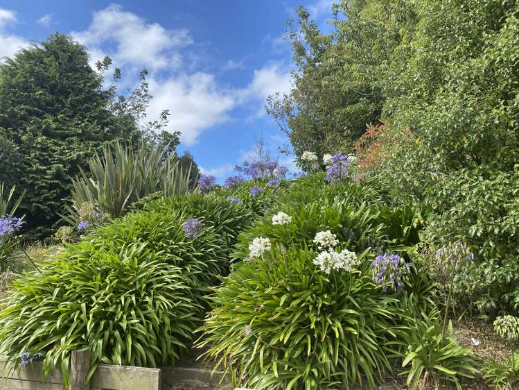 111 Gully Road Tuatapere_6