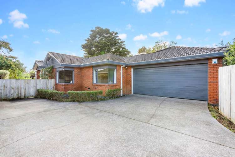 23a Memorial Avenue Mount Roskill_19