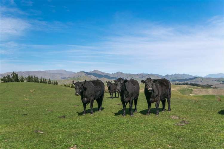 237 Brookby Road Hawkesbury_17