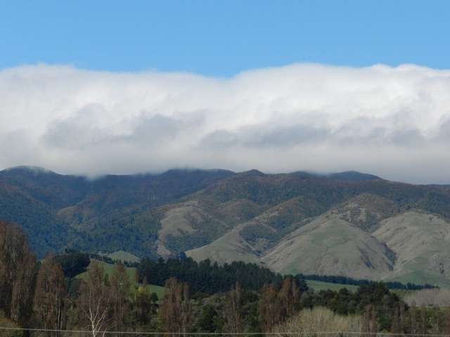 974 Finnis Road Pohangina_2