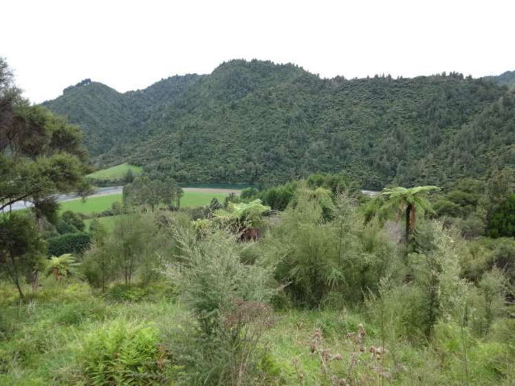 3361 State Highway 2 Opotiki and Surrounds_10