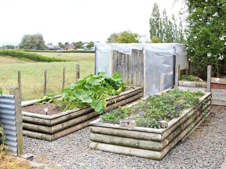 200 Studholme Street Morrinsville_14