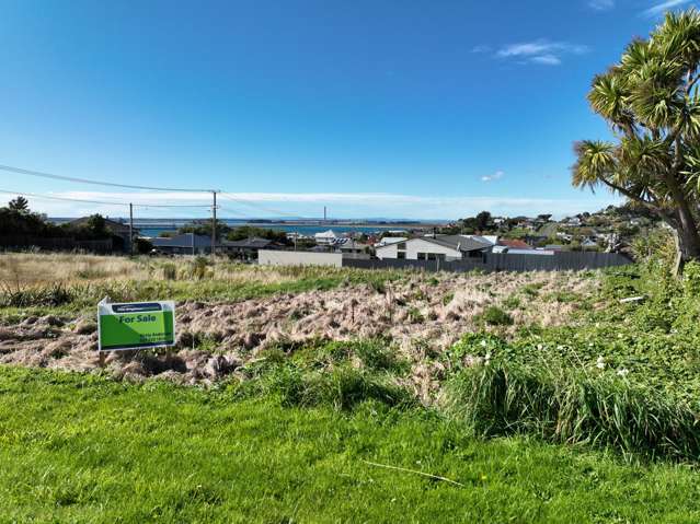 68 Boyne Street Bluff_3