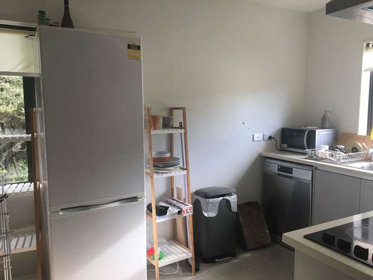 219A Gills Road Albany_12